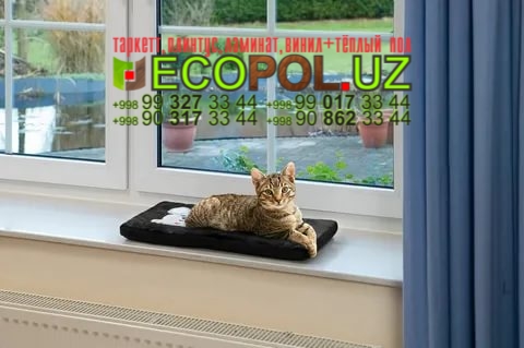 Подоконник в Ташкенте 253 квик степ ламинат отзывы линолеум таркет укладка териш Нукус  Tashkent