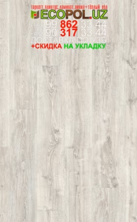  Таркет Польша 1 - 91 - linoleum таркет ламинат линолеум укладка териш - Хоразм